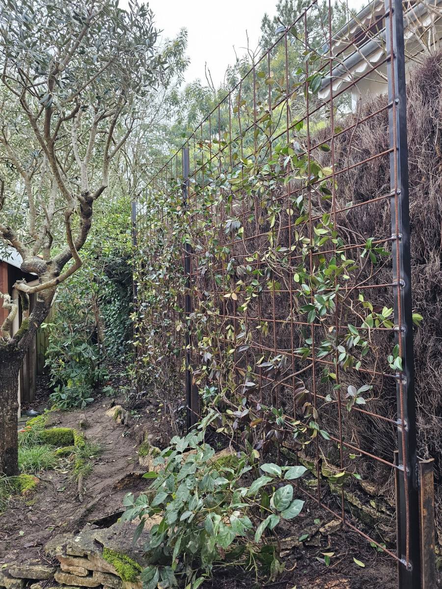 Réalisation d'une clôture en brande et végétalisation sur le Cap Ferret