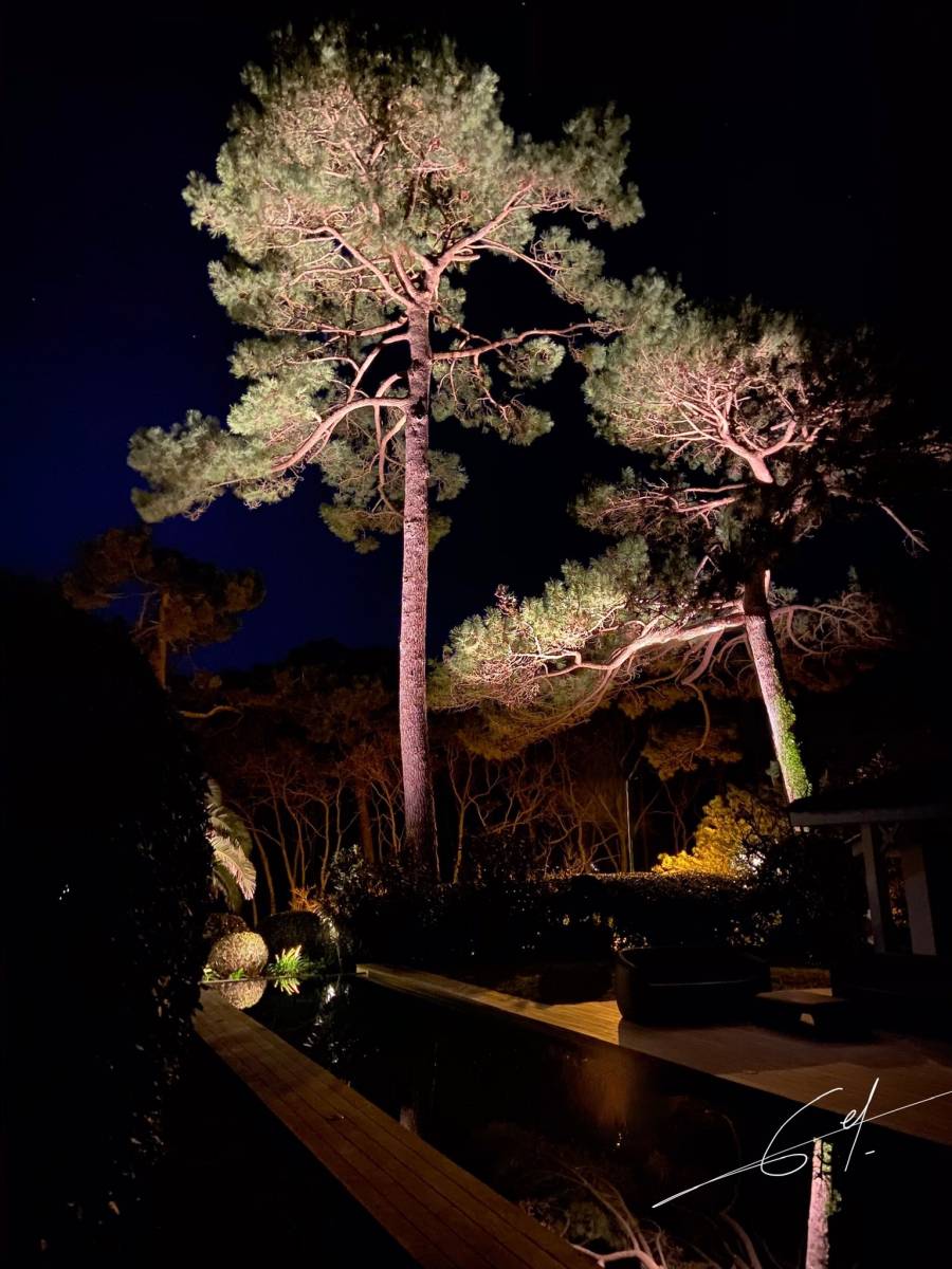 mise en lumière de jardin Arcachon
