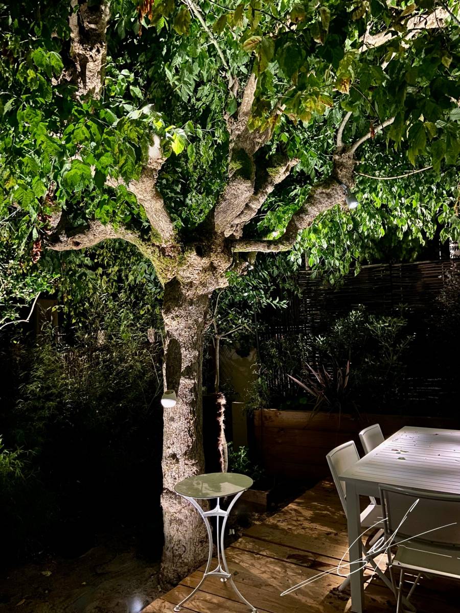 Architecte paysagiste sur le Bassin d'Arcachon:  ECLAIRAGE EXTERIEUR POUR JARDIN