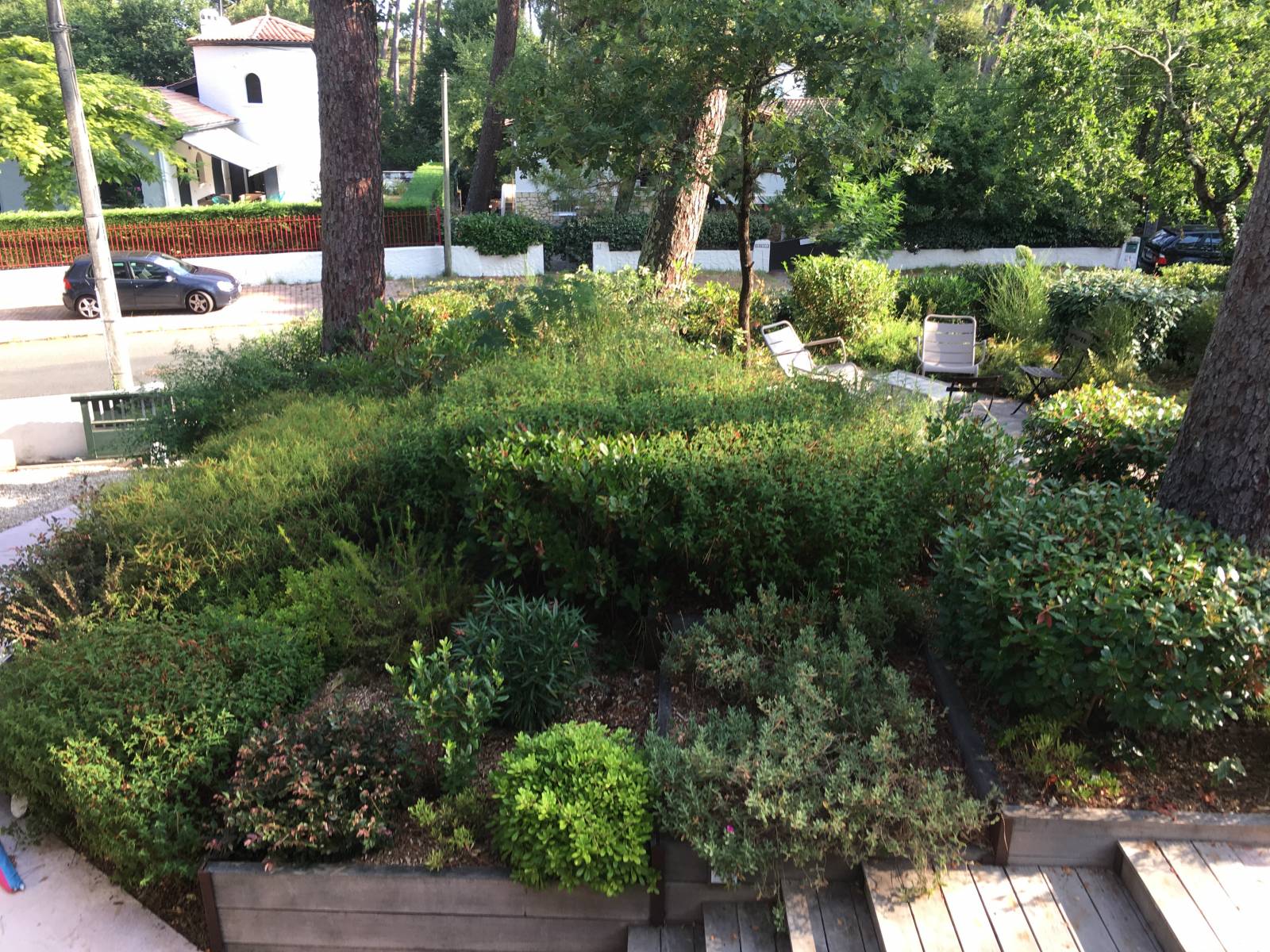 Mur de soutènement Bassin d Arcachon - Végétalisation 1 an après