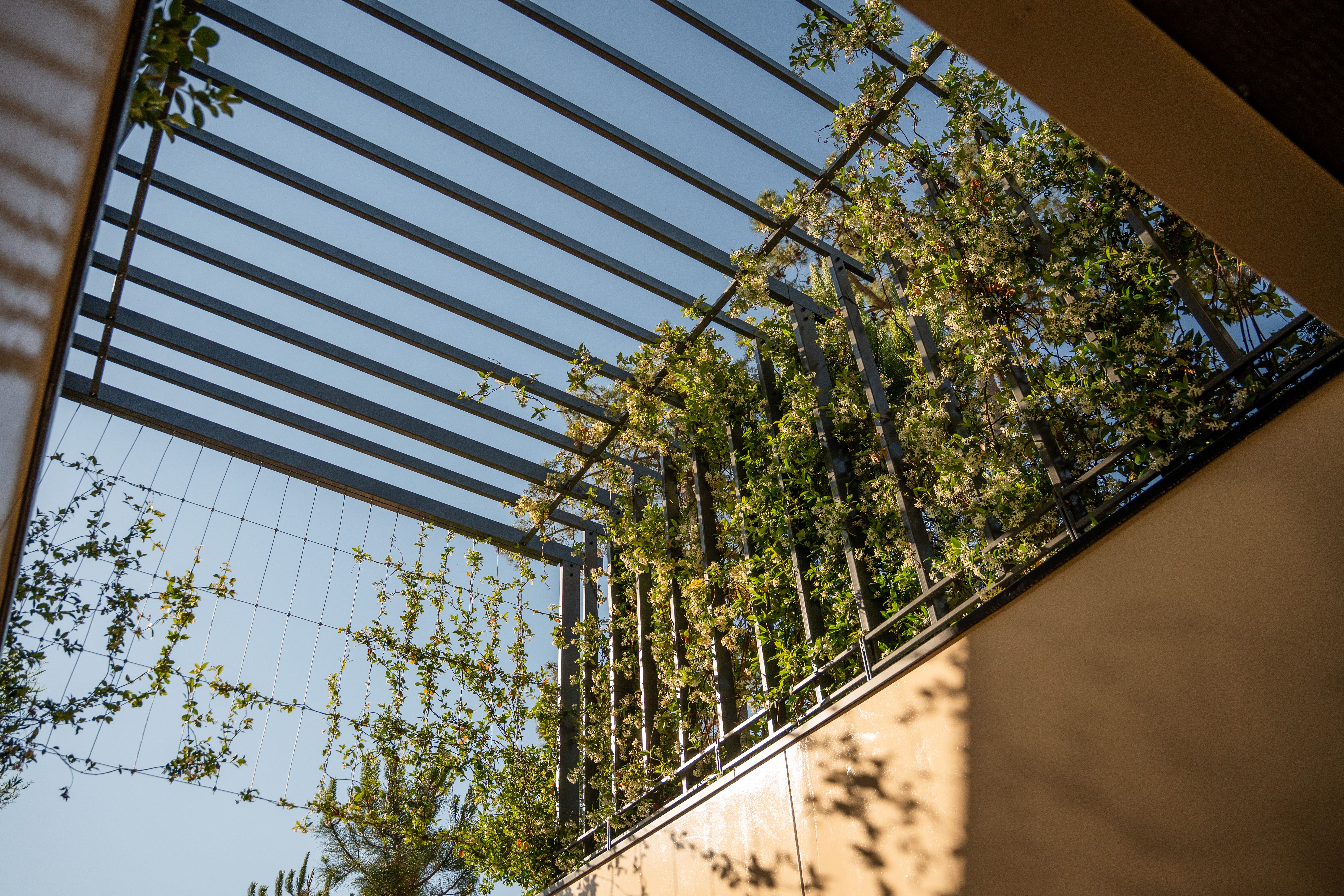 REALISATION PAYSAGERE – HOTEL 5 ETOILES: VILLA COLETTE AU CAP FERRET