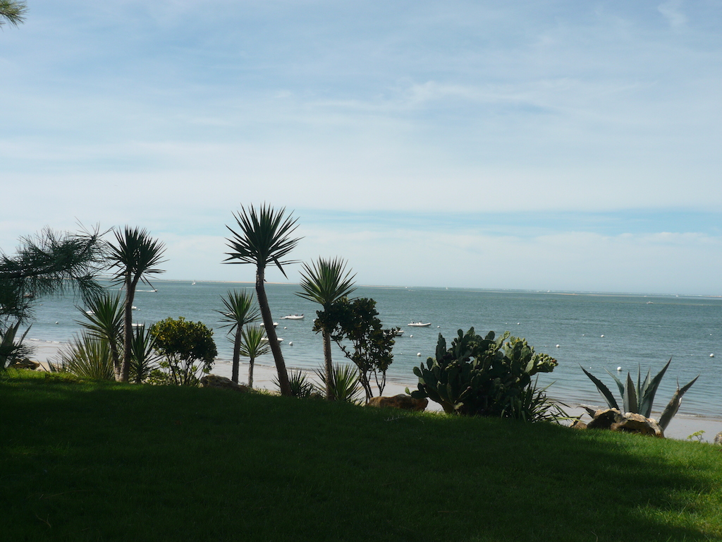 aménagement paysager front de mer océan 33