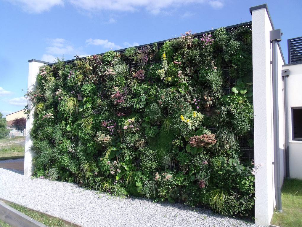 paysagiste pour mur végétal bassin d arcachon