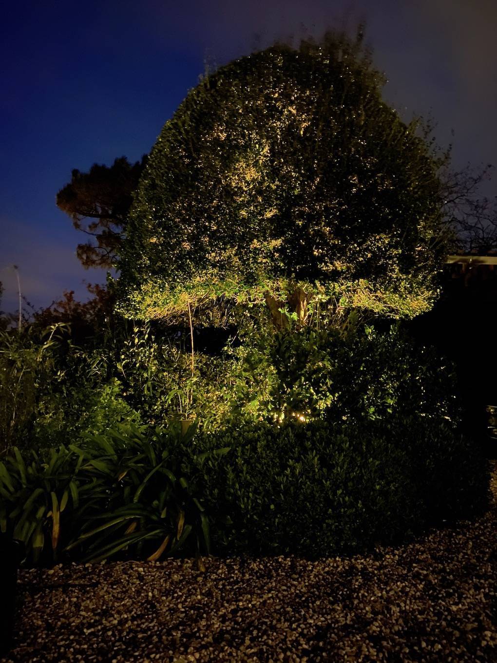 Concepteur en éclairage extérieur et mise en scène d'un jardin sur le Bassin d'Arcachon