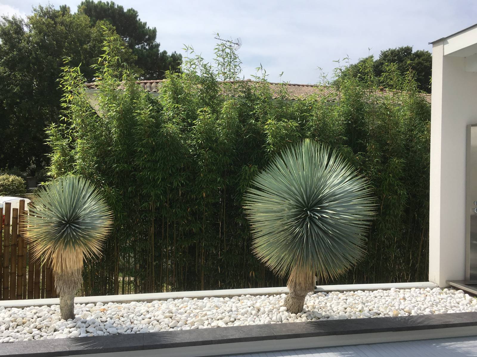 Adapter le végétal à l'ambiance souhaitée - Jardin minimaliste sur le Bassin d'Arcachon