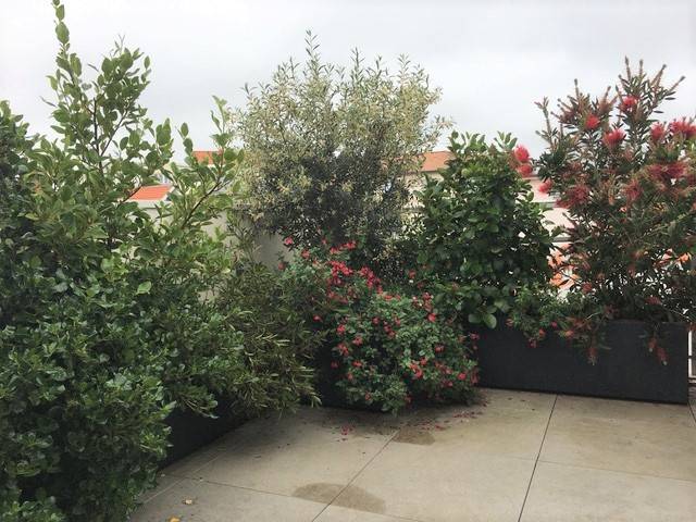 végétaliser une terrasse sur la Teste de Buch