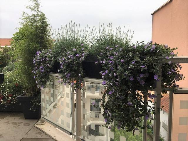 aménagement de terrasse et balcon sur Arcachon