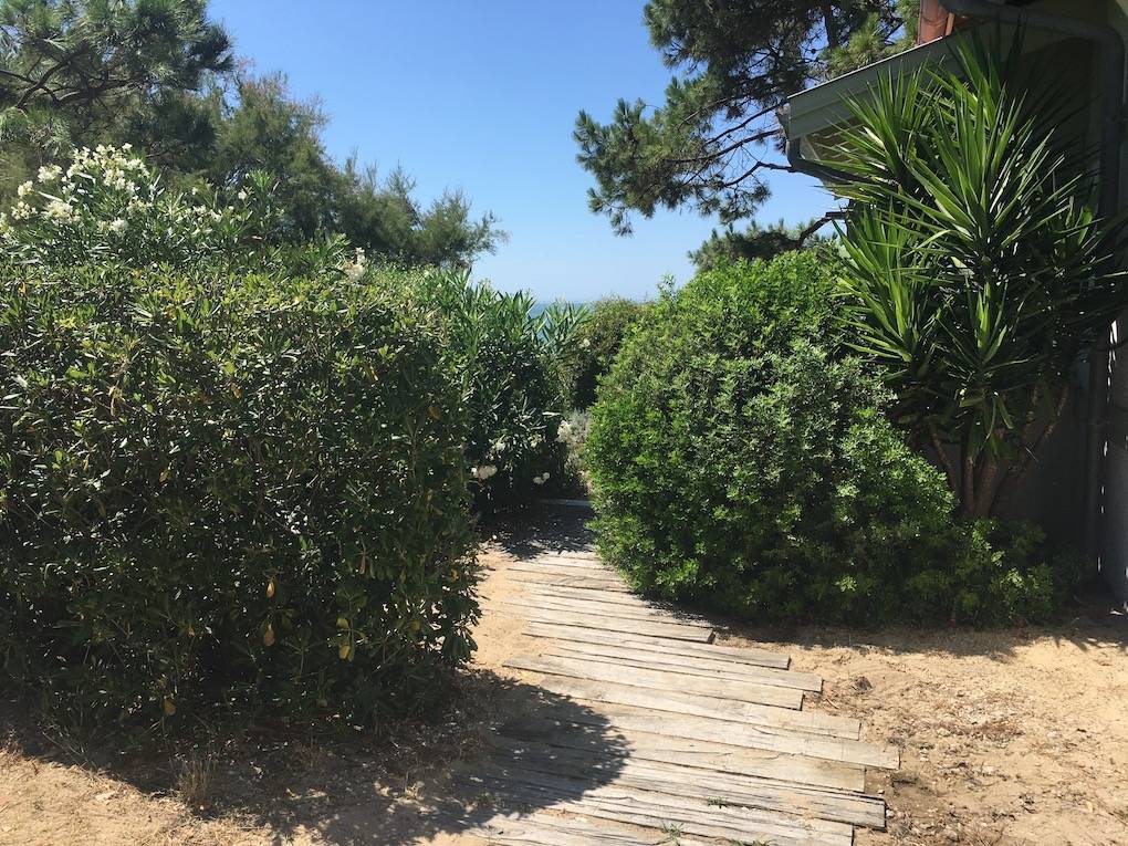 paysagiste bord de mer bassin d arcachon