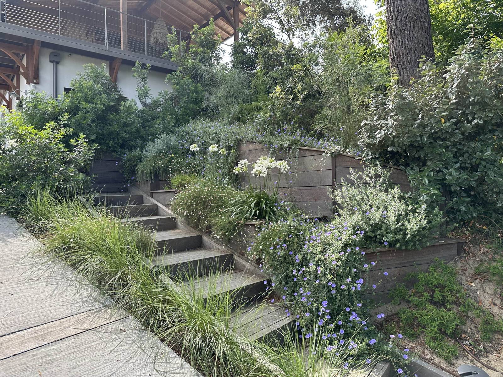 Soutènement végétalisé sur le Bassin d'Arcachon et le Cap Ferret