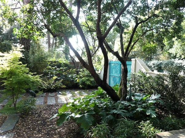 entretien de jardin Arcachon