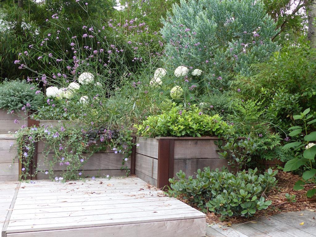 Soutènement paysager en bois sur le Bassin d'Arcachon - un an après les travaux