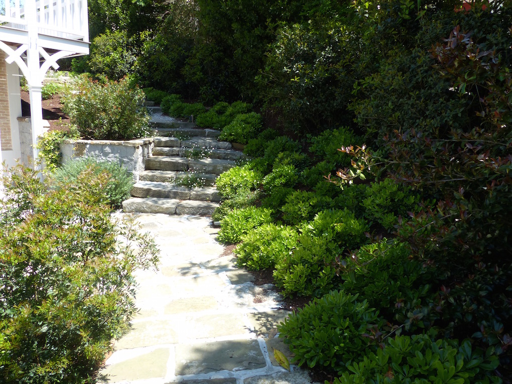 Après - Réalisation d'un escalier en pierre sur le bassin d'Arcachon