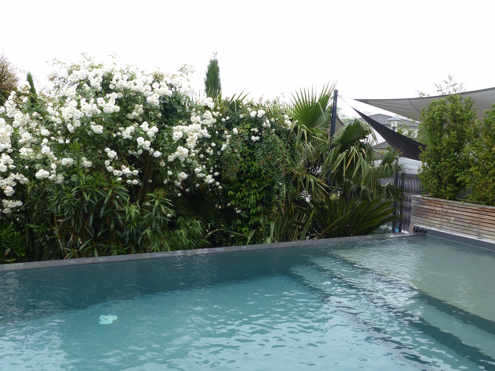 Architecte paysagiste en Gironde: Aménagement paysager aux abords d'une piscine à Bordeaux