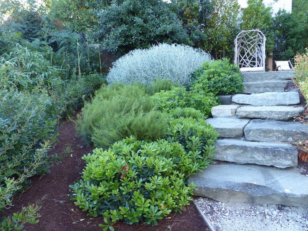 Réalisation d'un escalier en pierre sur le bassin d'Arcachon