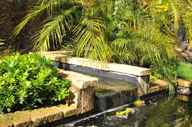 Plantation de haies mitoyennes et d'arbres pour occultation de vis-à-vis Andernos-les-Bains 33