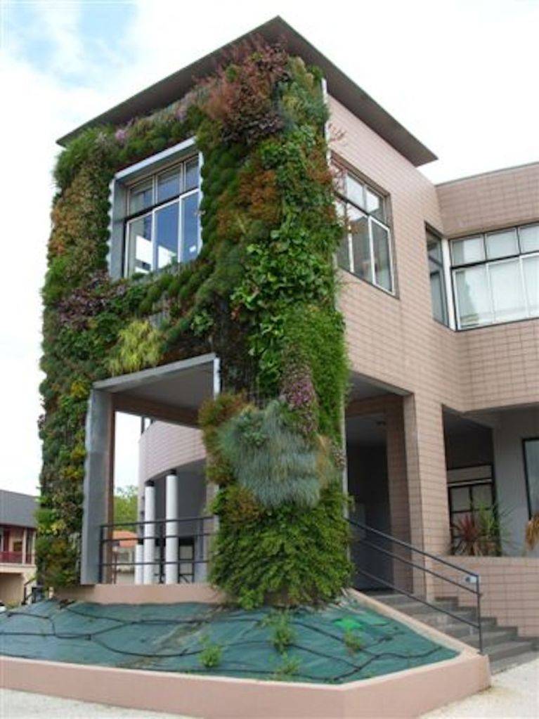 entretien d'espaces verts d'entreprise sur le Bassin d’Arcachon