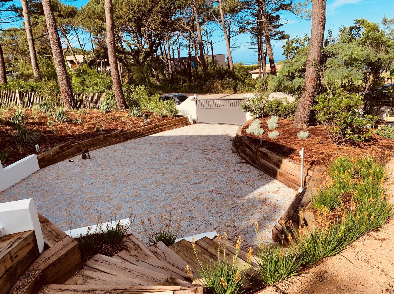 Traitement des arbres et arbustes contre les maladies Lège-Cap-Ferret