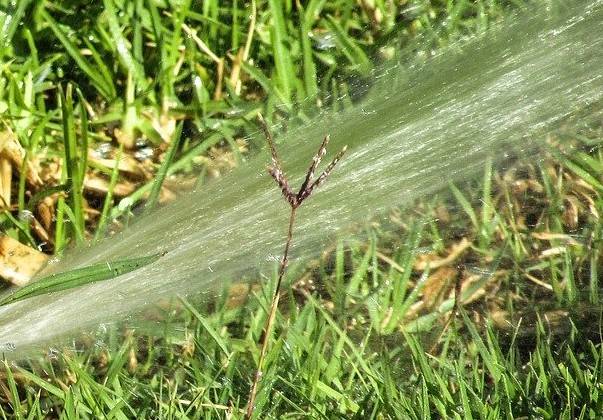 Installation d'un arrosage automatique à La Teste de Buch sur le Bassin d'Arcachon