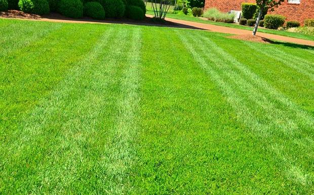 Paysagiste pour syndics de copropriétés sur le Bassin d'Arcachon