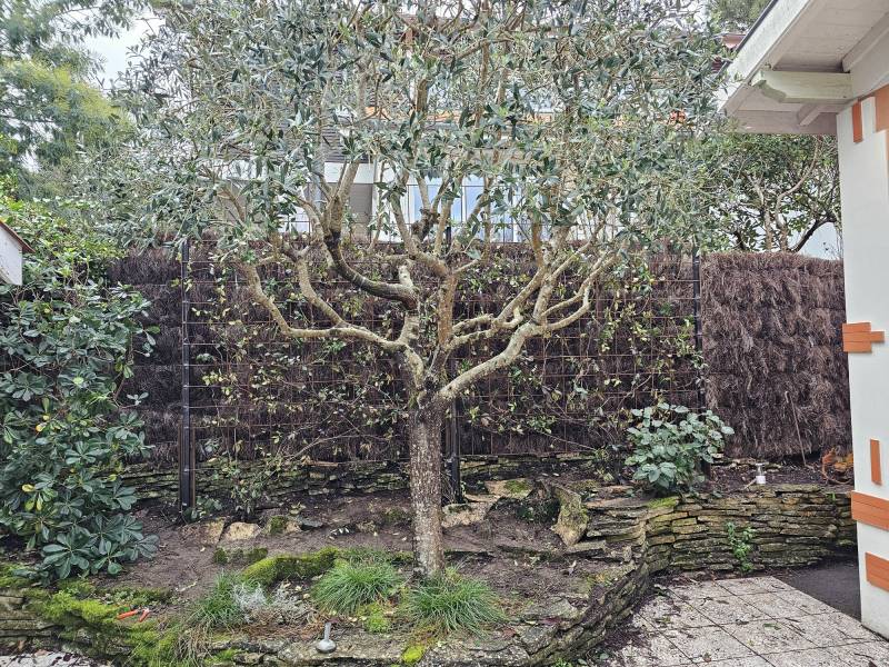 Réalisation d'une clôture en brande sur le Bassin d'Arcachon