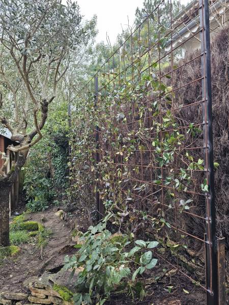 Réalisation d'une clôture en brande et végétalisation sur le Cap Ferret