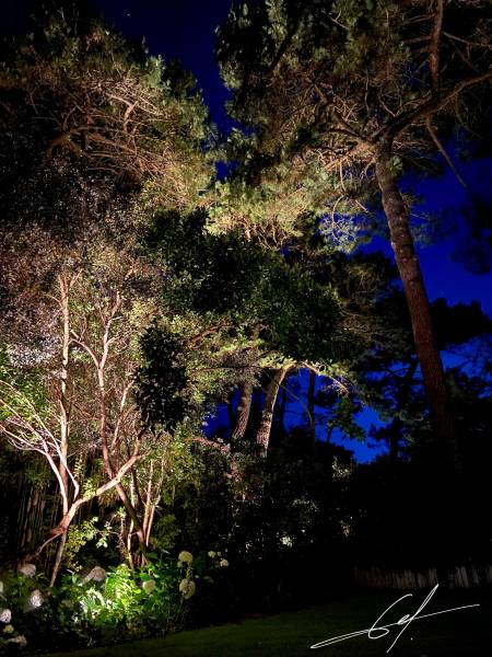 Architecte paysagiste sur le Bassin d'Arcachon:  ECLAIRAGE EXTERIEUR POUR JARDIN