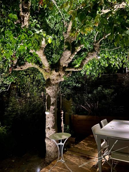 Architecte paysagiste sur le Bassin d'Arcachon:  ECLAIRAGE EXTERIEUR POUR JARDIN