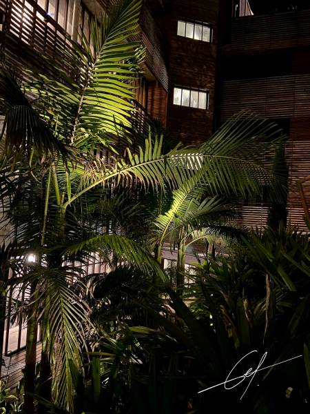 Eclairage extérieur hôtel Bordeaux