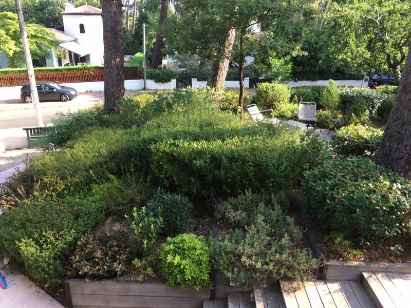 Mur de soutènement Bassin d Arcachon - Végétalisation 1 an après