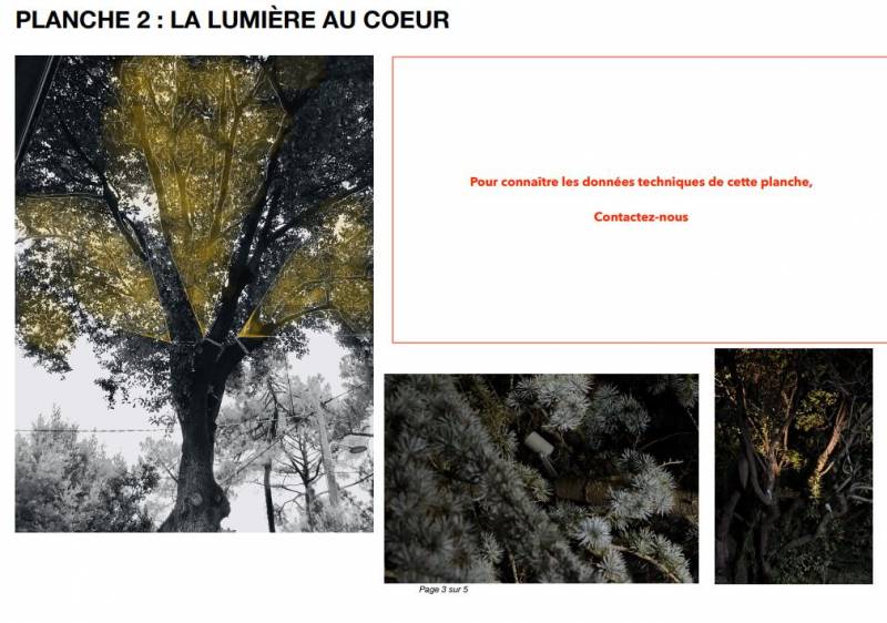 Concepteur en éclairage extérieur et mise en scène d'un jardin ARCACHON