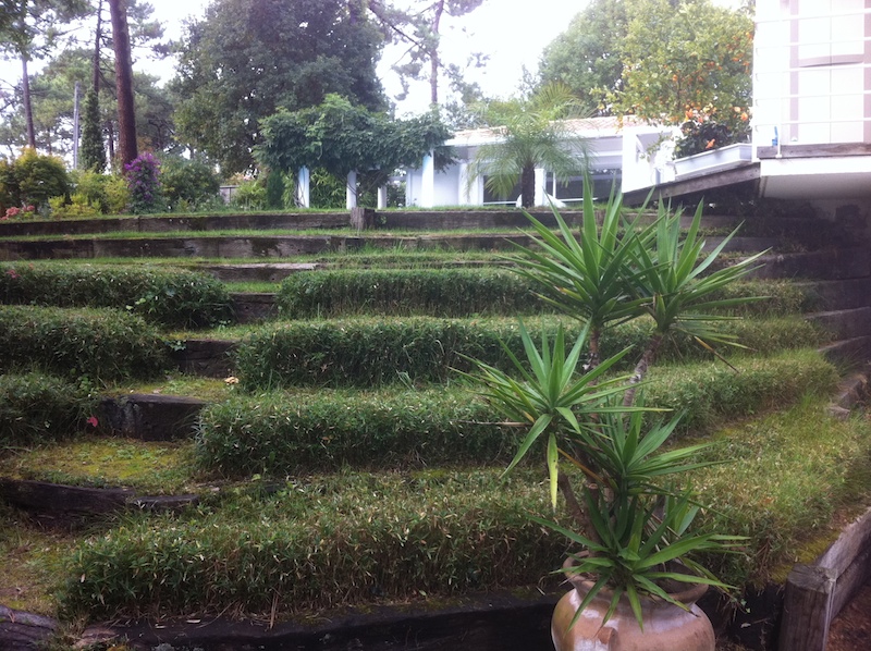 entretien jardin bassin d'arcachon
