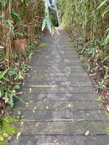 Avant nettoyage d'une allée en bois exotique sur le Bassin d'Arcachon