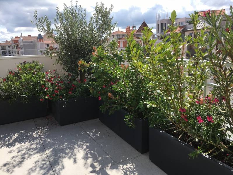 Jardinières en fibre de verre/polyester