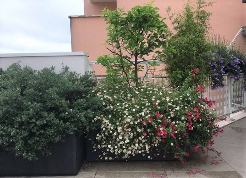 idées aménagements terrasses et balcon Bassin d'Arcahon