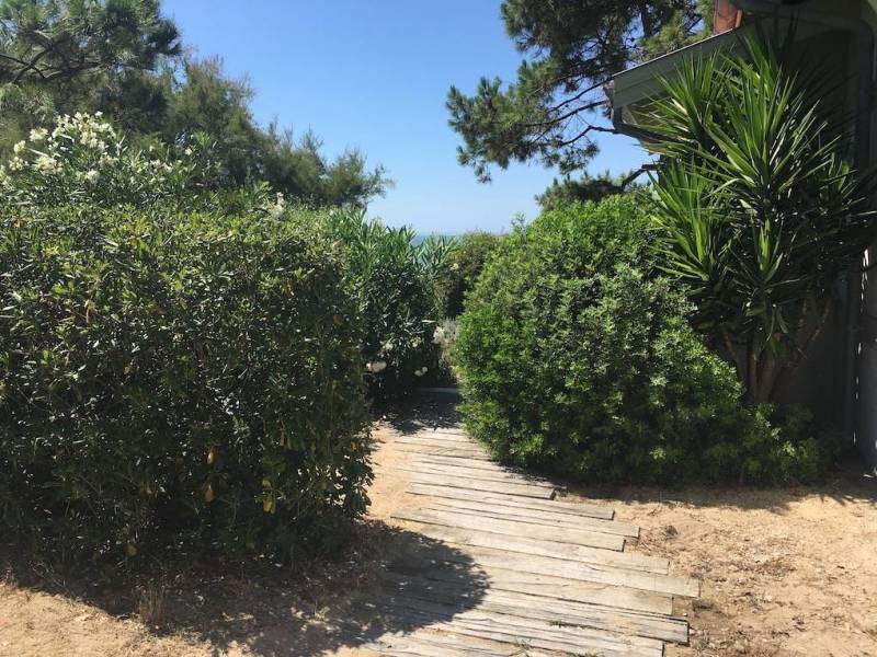 paysagiste bord de mer bassin d arcachon