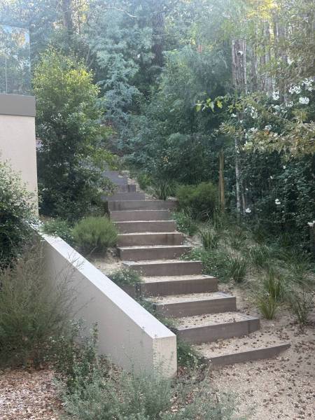Réalisation d'un escalier extérieur en bois avec végétalisation sur le Bassin d'Arcachon