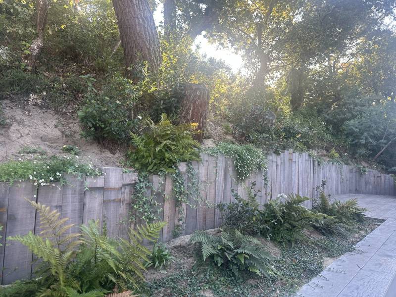 Création d'une retenue en bois avec végétalisation sur le Bassin d'Arcachon et le Cap Ferret