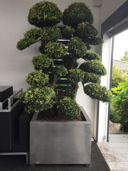 Jardinières en inox sur le Bassin d'Arcachon