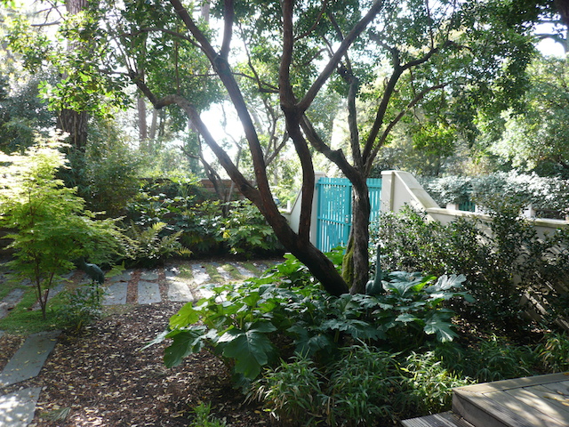 réalisation jardin ambiance sous bois en gironde