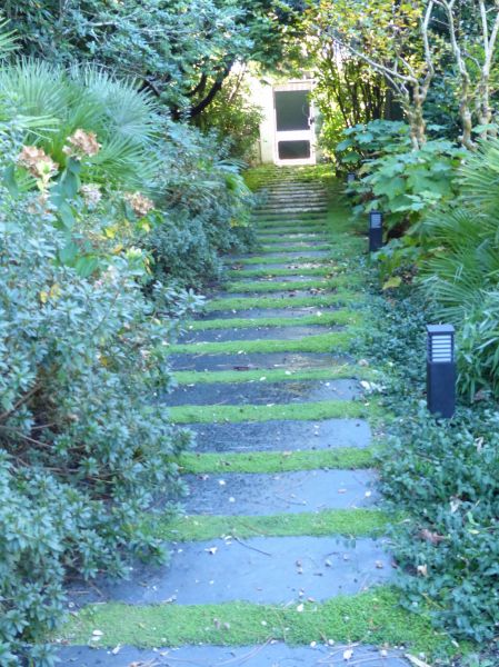 Pas japonais dalle de Schiste