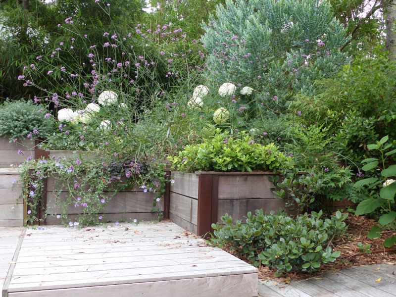 Soutènement paysager en bois sur le Bassin d'Arcachon - un an après les travaux