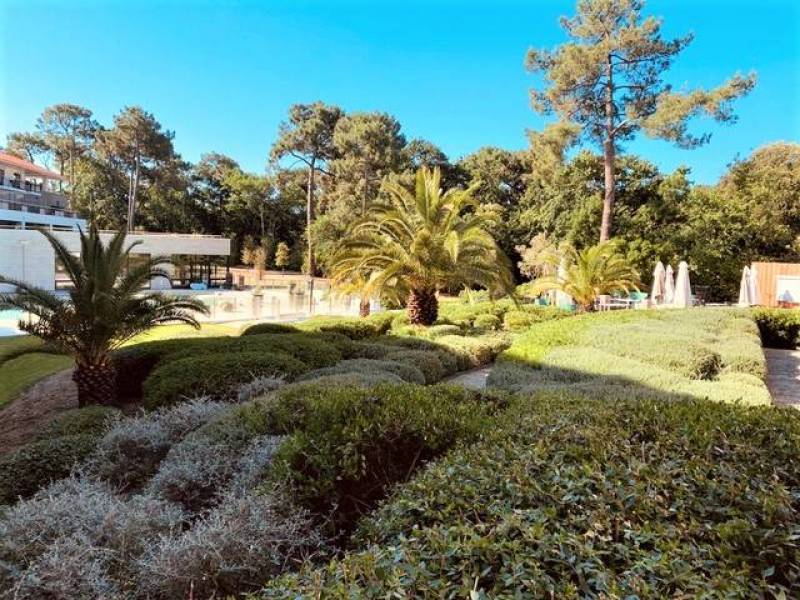 Réalisation aménagements paysagers résidentiels Arcachon