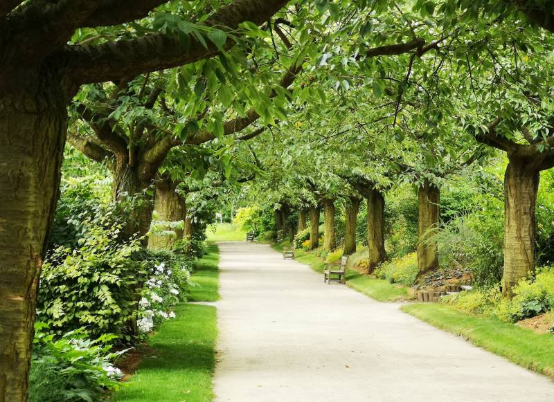 Création de jardins et d'espaces verts pour entreprises à Bordeaux