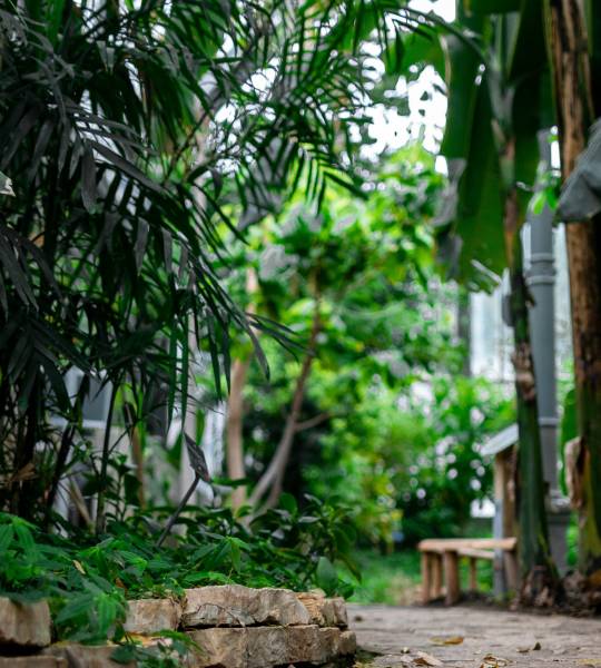 Création de jardins et d'espaces verts pour hôtels à Bordeaux