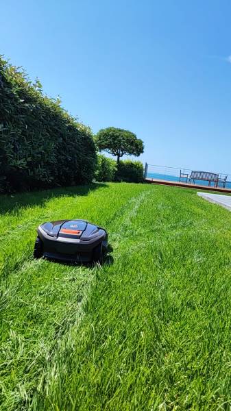 Tonte robotisée sur le Bassin d'Arcachon