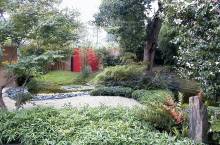 Notre zone d'activité pour ce service Traitement des arbres et arbustes contre les maladies