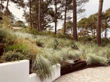 Notre zone d'activité pour ce service Architecte paysagiste