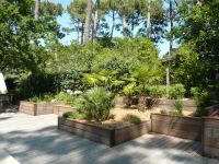 Nos prestations sur le secteur de Lège-Cap-Ferret