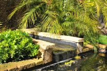 Notre zone d'activité pour ce service Traitement des arbres et arbustes contre les maladies