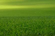 Nos prestations sur le secteur de La Teste-de-Buch Gironde